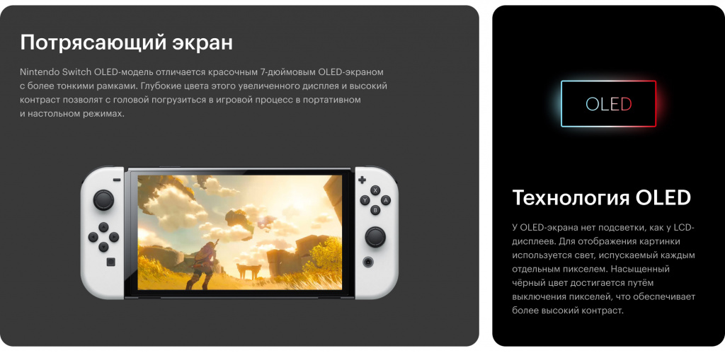 nintendo-switch-rich-desktop_02.jpg